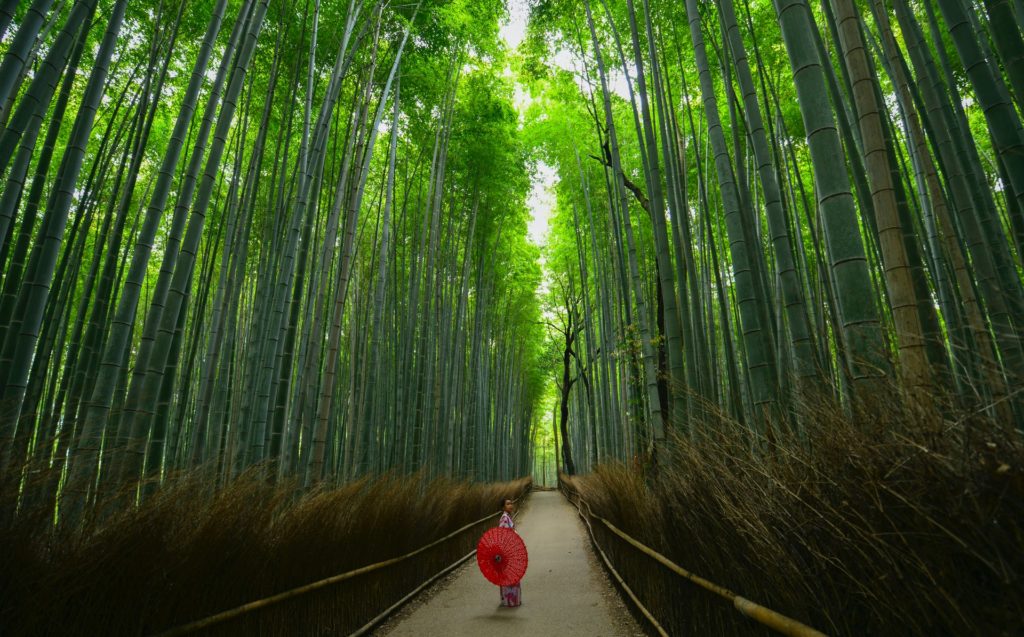 Arashiyama, Kyoto, Japan